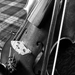bass1