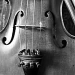 fiddle